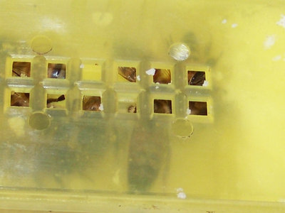 Regina 2 - Foto 1 / Regina2_1-800x600.jpg Regina2_1-800x600.jpg