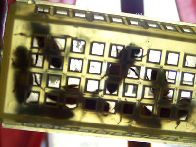 Regina_23.jpg (144.44 KiB) Osservato 784 volte Regina_23.jpg