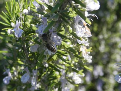 DSC5853.JPG (333.82 KiB) Osservato 2393 volte DSC5853.JPG