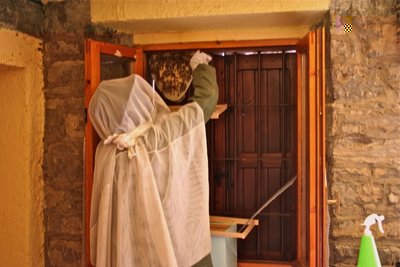 Notate il cancelletto sul telaio senza foglio cereo appoggiato sul portasciami.  Il telaio che ho in mano (con f.c.) lo uso come vassoio per evitare la caduta accidentale del favo. / IMG_7105.JPG IMG_7105.JPG