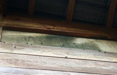 Ecco la deriva / IMG_9378.JPG IMG_9378.JPG