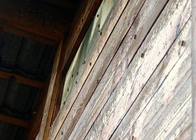 IMG_9430.JPG (171.81 KiB) Osservato 1107 volte IMG_9430.JPG