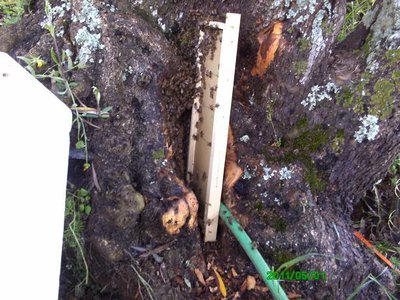 41516702.jpg (119.34 KiB) Osservato 930 volte 41516702.jpg