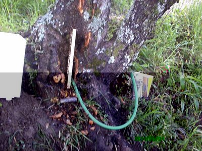 64759225.jpg (126.06 KiB) Osservato 930 volte 64759225.jpg