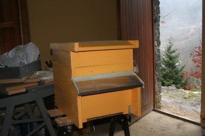 IMG_9564.JPG (91.79 KiB) Osservato 1024 volte IMG_9564.JPG