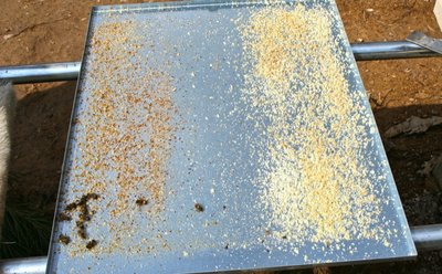 Al centro telai costruiti……penso vuoti, mi sono mosso in fretta per via del freddo. / IMG_9862.JPG IMG_9862.JPG