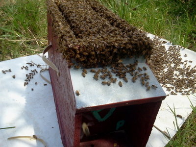 2013-04-16 12.25.04.jpg (246.85 KiB) Osservato 921 volte 2013-04-16 12.25.04.jpg