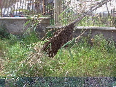 2013-04-16 12.18.37.jpg (363.97 KiB) Osservato 916 volte 2013-04-16 12.18.37.jpg