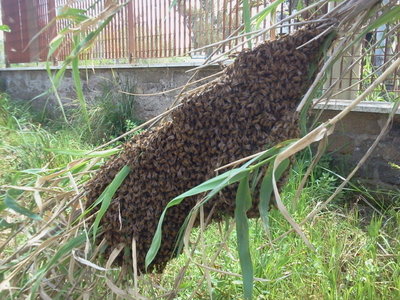 2013-04-16 12.19.19.jpg (335.14 KiB) Osservato 897 volte 2013-04-16 12.19.19.jpg