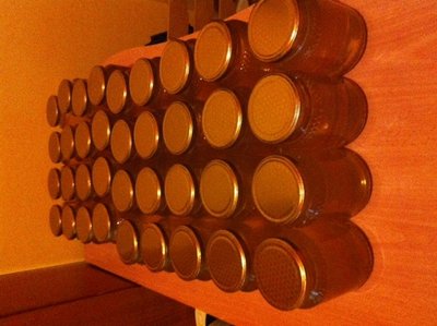 image.jpg (115.43 KiB) Osservato 654 volte image.jpg