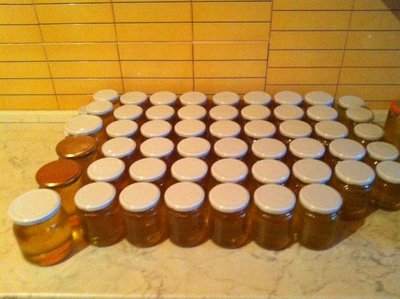 image.jpg (118.45 KiB) Osservato 701 volte image.jpg