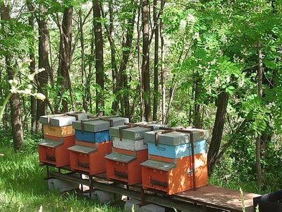 Foto 2.jpg (299.78 KiB) Osservato 745 volte Foto 2.jpg