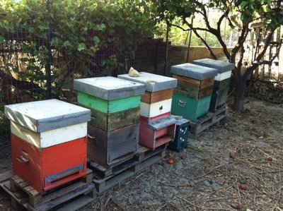 image.jpg (158.66 KiB) Osservato 1433 volte image.jpg