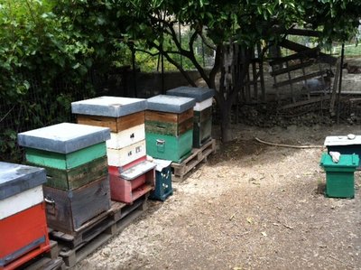 image.jpg (157.31 KiB) Osservato 1433 volte image.jpg