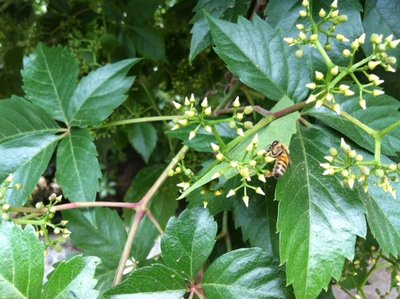 image.jpg (146.88 KiB) Osservato 893 volte image.jpg