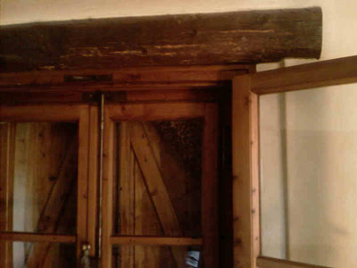 Sciame_Antella_1-800x600.jpg (34.88 KiB) Osservato 1283 volte Sciame_Antella_1-800x600.jpg