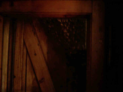 Sciame_Antella_2-800x600.jpg (28.89 KiB) Osservato 1283 volte Sciame_Antella_2-800x600.jpg