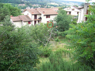 Sciame_Calcinaia_1_01-800x600.jpg (71.83 KiB) Osservato 1196 volte Sciame_Calcinaia_1_01-800x600.jpg