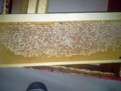 2013-08-17 16.39.13.jpg (193.71 KiB) Osservato 1343 volte 2013-08-17 16.39.13.jpg