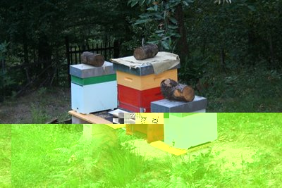 IMG_0413.JPG (148.61 KiB) Osservato 1010 volte IMG_0413.JPG