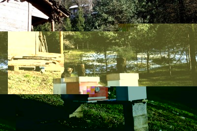 Copia di IMG_1256.JPG (206.69 KiB) Osservato 1076 volte Copia di IMG_1256.JPG