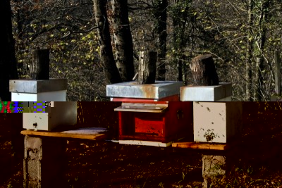 Copia di IMG_1224.JPG (203.66 KiB) Osservato 1065 volte Copia di IMG_1224.JPG