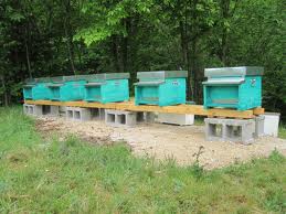 Esempio di supporto per arnie.jpg Esempio di supporto per arnie.jpg