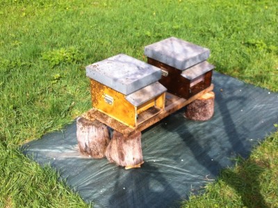 IMG_2550.JPG (265.23 KiB) Osservato 886 volte IMG_2550.JPG