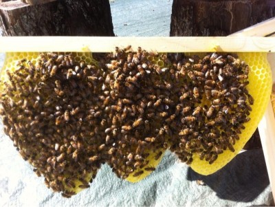 image.jpg (186.98 KiB) Osservato 964 volte image.jpg