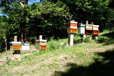 Copia di IMG_1611.JPG (242.47 KiB) Osservato 1607 volte Copia di IMG_1611.JPG