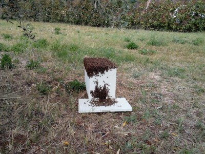 IMG_20140612_175712558.jpg (303.5 KiB) Osservato 927 volte IMG_20140612_175712558.jpg