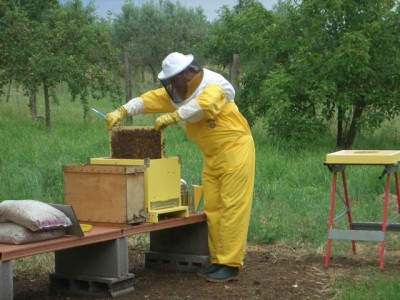 CIMG8153.JPG (305.81 KiB) Osservato 795 volte CIMG8153.JPG