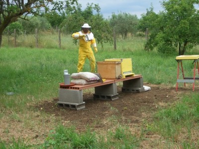 CIMG8151.JPG (332.05 KiB) Osservato 795 volte CIMG8151.JPG