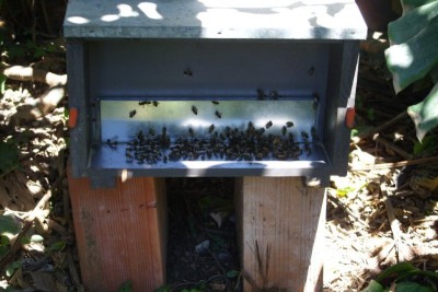 SS852310 (FILEminimizer).JPG (82.69 KiB) Osservato 1378 volte SS852310 (FILEminimizer).JPG