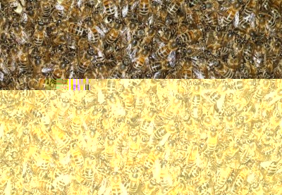 SS852303 (FILEminimizer).JPG (211.66 KiB) Osservato 1204 volte SS852303 (FILEminimizer).JPG