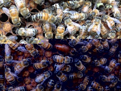 Foto 12-07-14 08 16 36.jpg (278.76 KiB) Osservato 2238 volte Foto 12-07-14 08 16 36.jpg