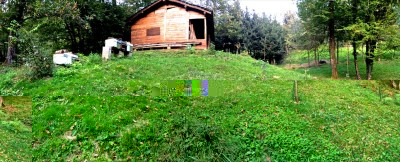 Apiario al 29/09/2014 / Copia di IMG_0311.JPG Copia di IMG_0311.JPG