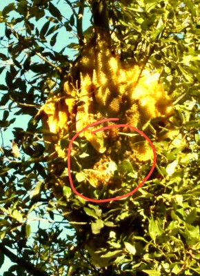 IMG_20141213_125722.jpg (265 KiB) Osservato 1479 volte IMG_20141213_125722.jpg