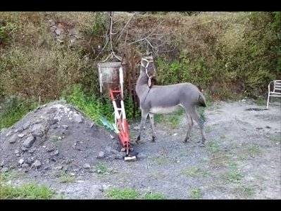 Guenda.jpg (63.35 KiB) Osservato 1691 volte Guenda.jpg