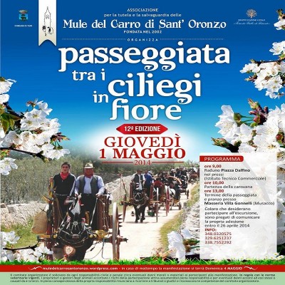 1607038_547340885364158_5465199980824721895_n.jpg (315.61 KiB) Osservato 1344 volte 1607038_547340885364158_5465199980824721895_n.jpg