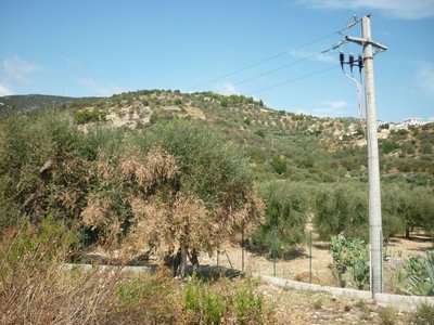 1.jpg (109.69 KiB) Osservato 1214 volte 1.jpg