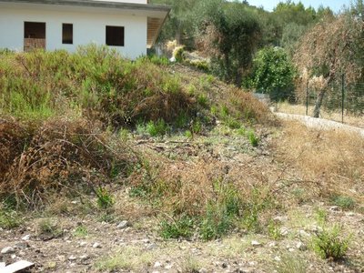 2.jpg (140.48 KiB) Osservato 1214 volte 2.jpg