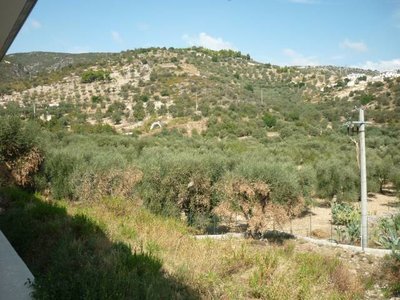 3.jpg (89.83 KiB) Osservato 1184 volte 3.jpg