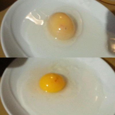 prima e dopo / 2017-11-19 17.31.26.jpg 2017-11-19 17.31.26.jpg