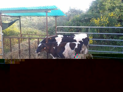 1.jpg (153.75 KiB) Osservato 2167 volte 1.jpg