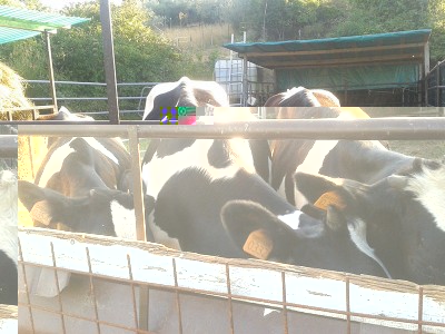 fris3.jpg (151.65 KiB) Osservato 2405 volte fris3.jpg