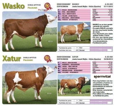 Tori.JPG (88.24 KiB) Osservato 2372 volte Tori.JPG