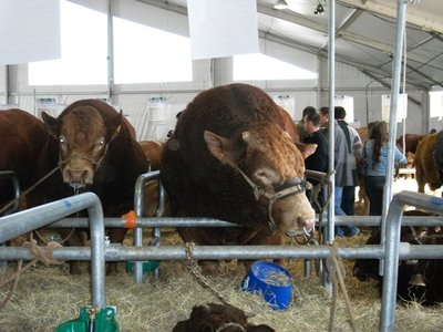 Copia di sommet 033.jpg (169.78 KiB) Osservato 929 volte Copia di sommet 033.jpg