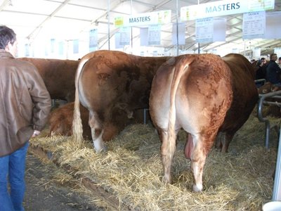 Copia di sommet 031.jpg (179.47 KiB) Osservato 929 volte Copia di sommet 031.jpg