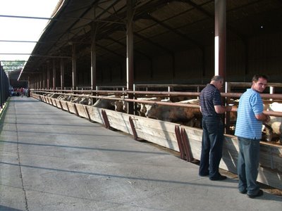 sommet 162.jpg (132.83 KiB) Osservato 1012 volte sommet 162.jpg